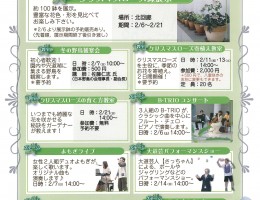 クリスマスローズフェア【松江イングリッシュガーデン】