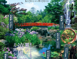 由志園♪　霧の日本庭園　開催中！！