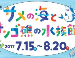 夢みなとタワー♪　サメの海とサンゴ礁の水族館　7.15(土)～8.20(日)まで♬