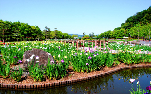 東郷湖はわい臨海公園 画像