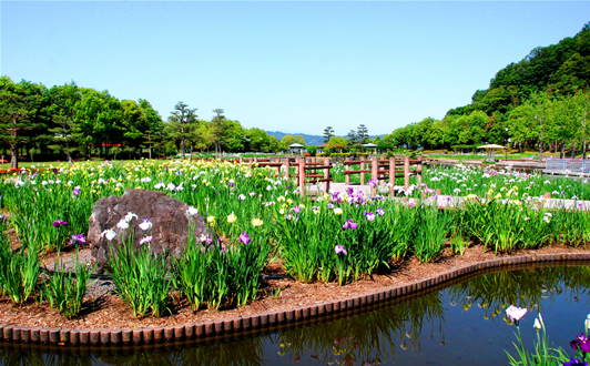 東郷湖はわい臨海公園