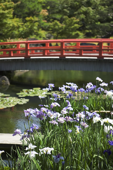 由志園 画像