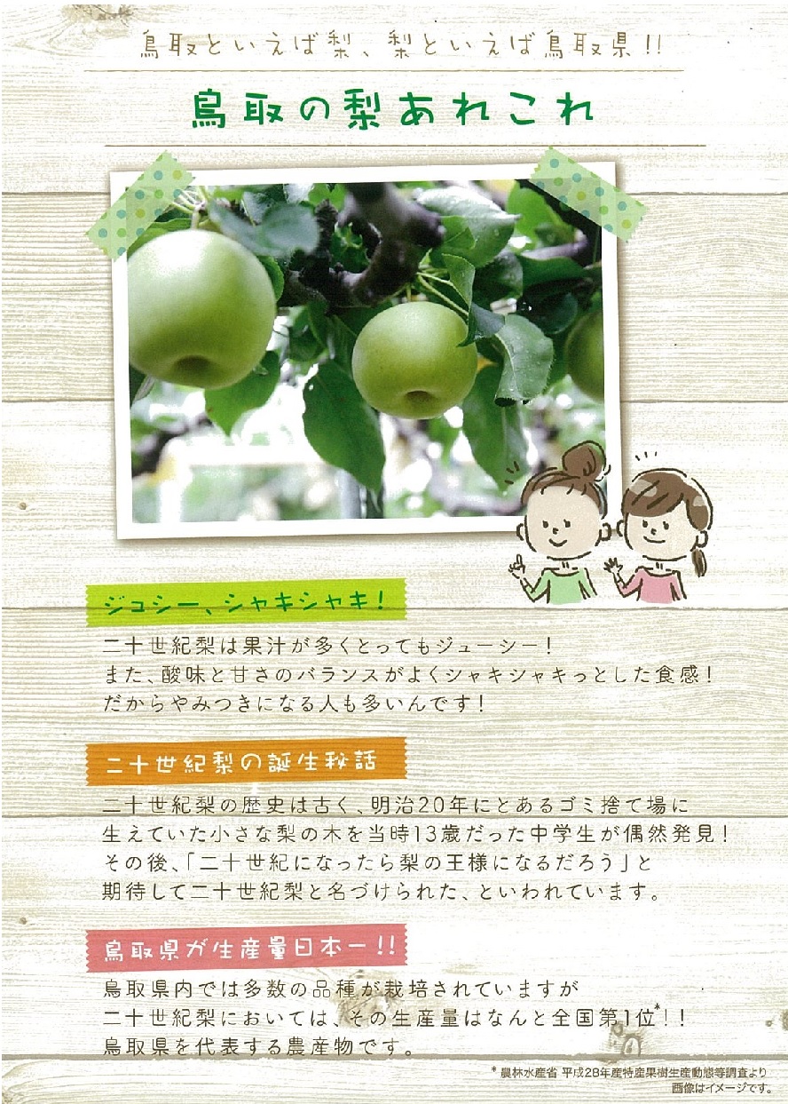 ラウンジ大山で『鳥取二十世紀梨フロマージュビスキュイ』☆試食キャンペーン☆!