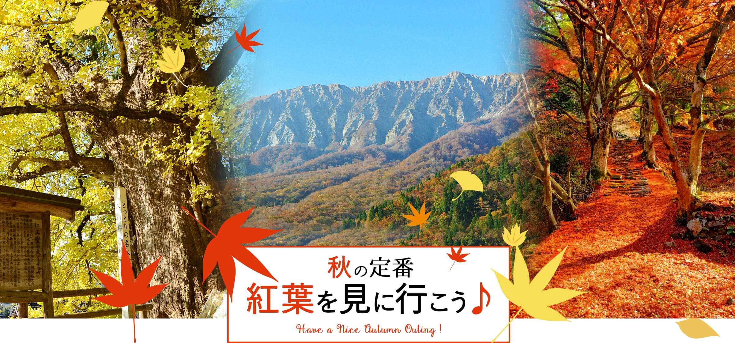 鳥取県の紅葉情報